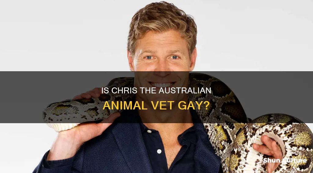 is australian animal vet chris gay