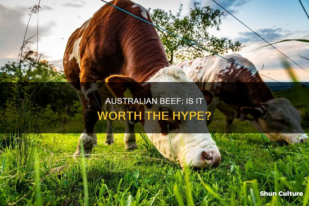 is australian beef good
