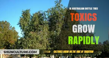 Bottle Tree Toxins: Rapid Growth in Australia