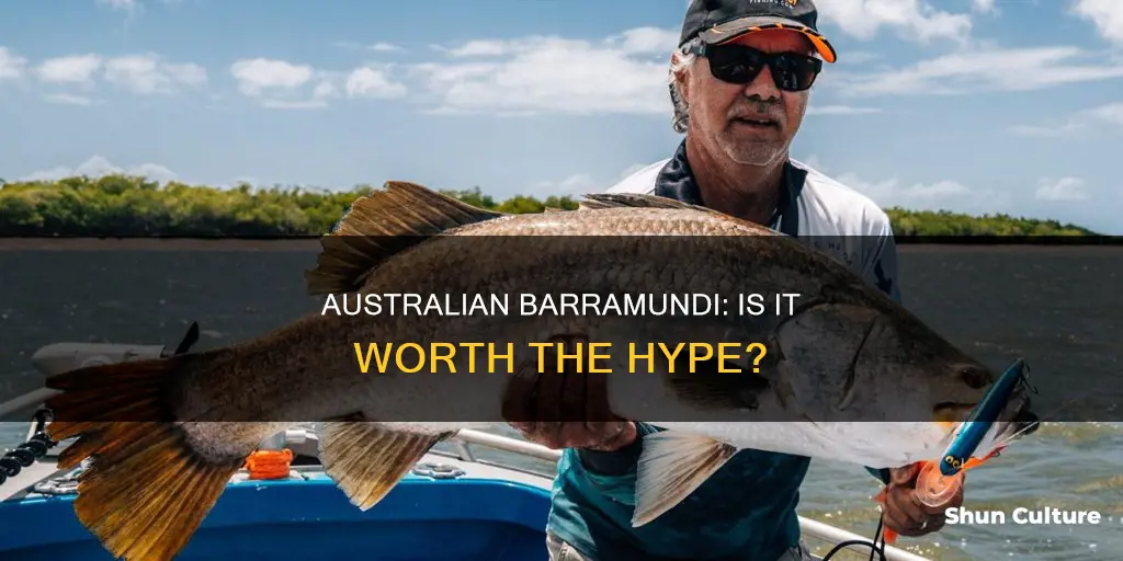is australian bramundi any good