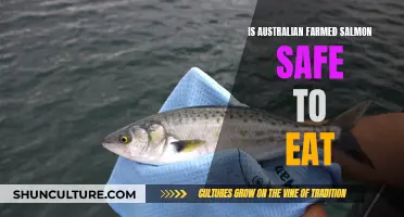 Australian Farmed Salmon: Safe Eating or Health Risk?