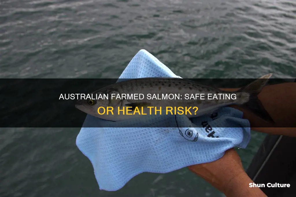 is australian farmed salmon safe to eat