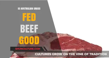 Grass-Fed Beef: Australian Quality, Healthy and Delicious