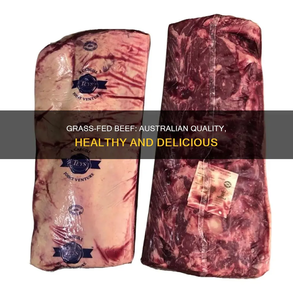 is australian grass fed beef good