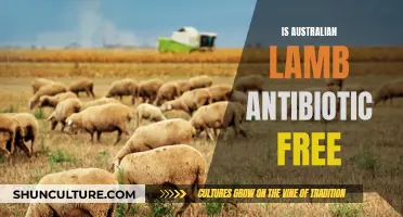 Australian Lamb: Antibiotic-Free Meat