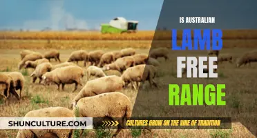 Australian Lamb: Free Range or Fiction?