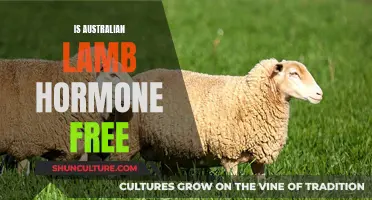Australian Lamb: Hormone-Free and Healthy