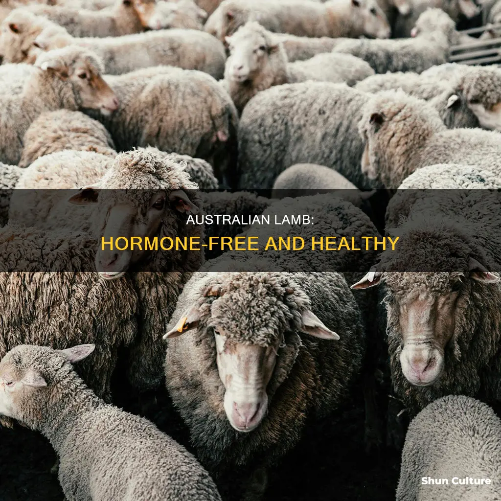 is australian lamb hormone free