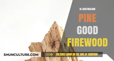 Australian Pine: Good Firewood or Not?