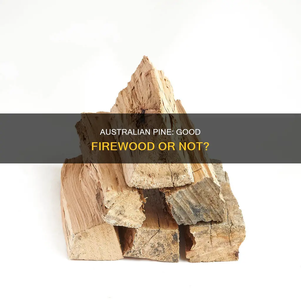 is australian pine good firewood