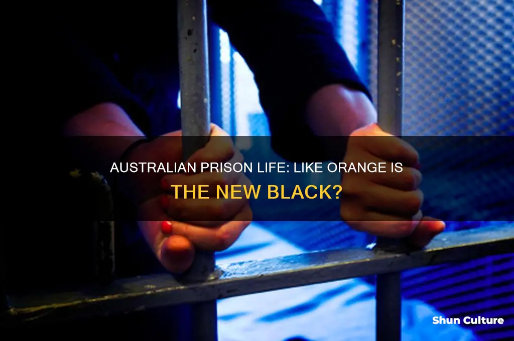 is australian prison show like orange is the new black