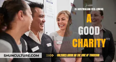 Red Cross Australia: Worthy Charity or Not?
