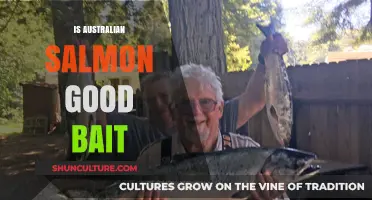 Australian Salmon: Effective Bait or Not?