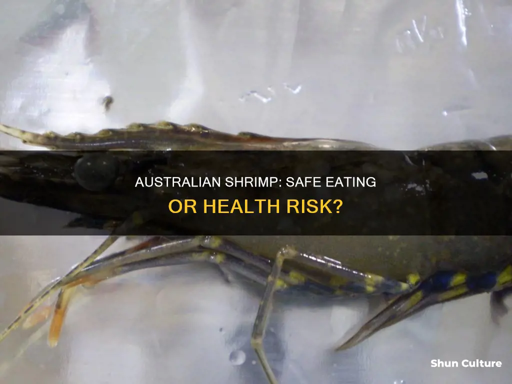 is australian shrimp safe to eat