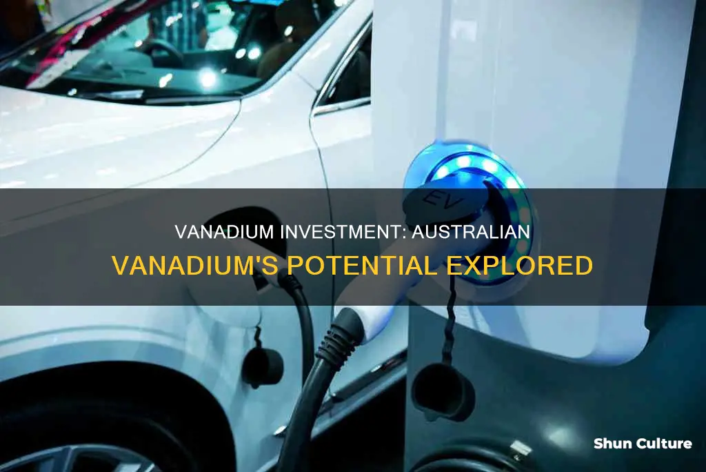 is australian vanadium a good investment