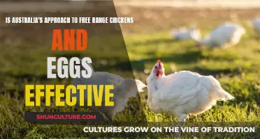 Free-Range Farming: Australia's Approach Examined