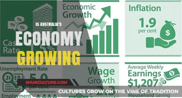 Australia's Economy: Growth and Future Prospects