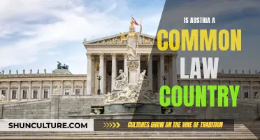 Austria's Legal System: Common or Civil Law?