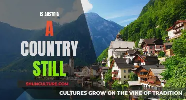 Austria: A Country Defying Erasure