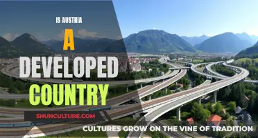 Austria: A Developed Country?