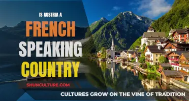 Austria: A French-Speaking Country? Exploring Language Diversity