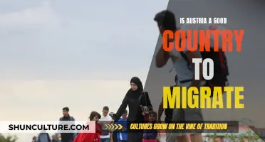 Austria: A Migrant's Dream Destination?