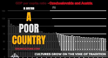 Austria's Economic Status: Rich or Poor?