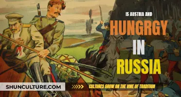 Austria-Hungary's Russian Ambitions: A Historical Perspective