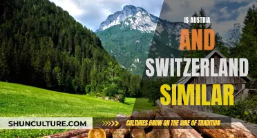 Exploring Switzerland and Austria: Similarities and Differences