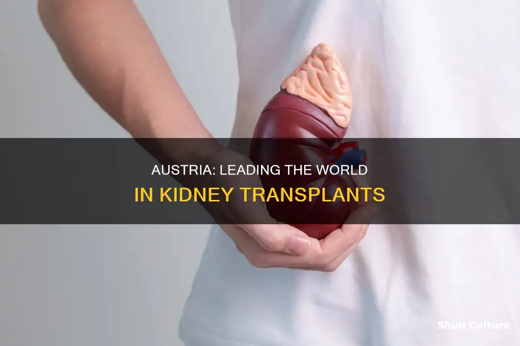 is austria best kidney transplant center in the world