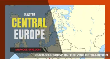 Austria's Geographical Identity: Central Europe or Not?