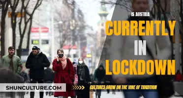 Austria Lockdown Status: Current Restrictions and Precautions