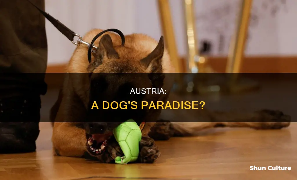 is austria dog friendly