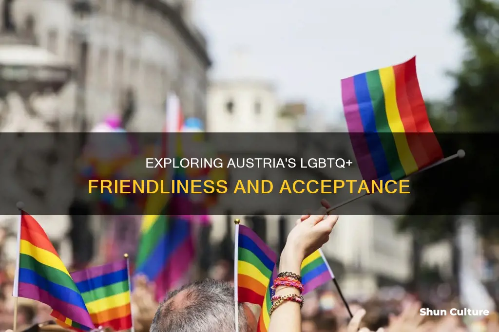 is austria gay friendly