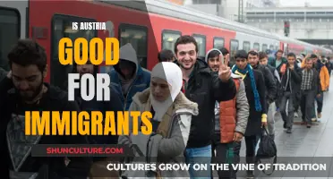 Immigrant's Guide to Austria: Is It a Good Choice?