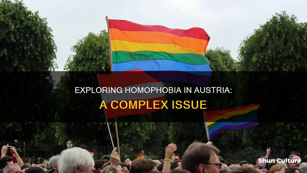 is austria homophobic