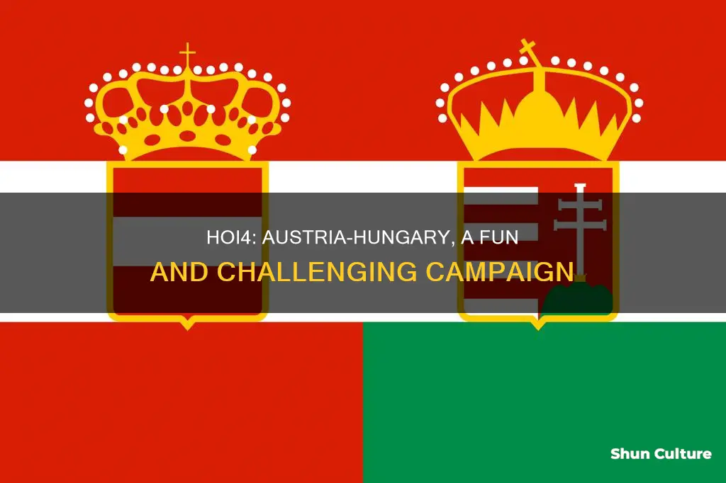 is austria hungary fun hoi4