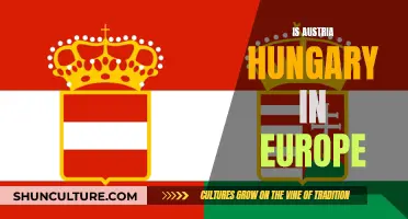 Austria-Hungary: A Historic European Identity