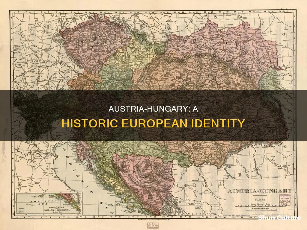 is austria hungary in europe