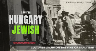 Austria-Hungary's Jewish Population: A Historical Perspective