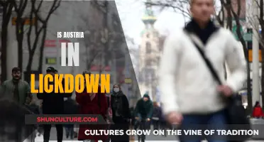 Austria Lockdown: What You Need to Know