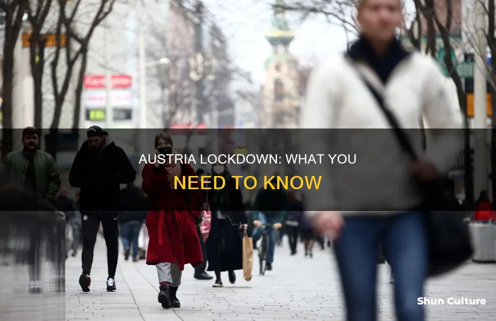 is austria in lickdown