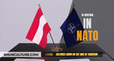 Austria's NATO Membership: Why It's Not a Member