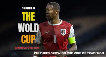 Austria's World Cup Qualification: A Review