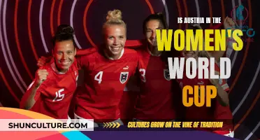 Austria's Women World Cup Dreams: Can They Qualify?