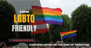 Exploring LGBTQ+ Friendliness in Austria