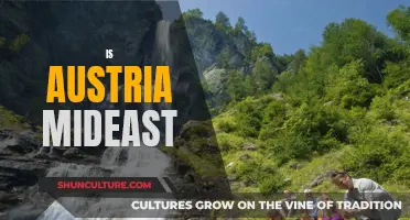 Austria's Middle East Connection: Exploring the Unexpected Link