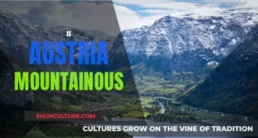 Austria's Mountainous Terrain: A Geographical Overview