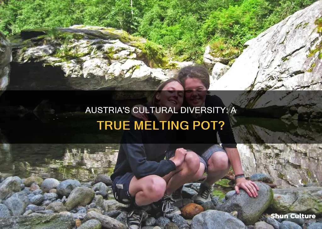 is austria multicultural