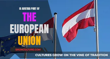 Austria's Membership in the European Union: Explained